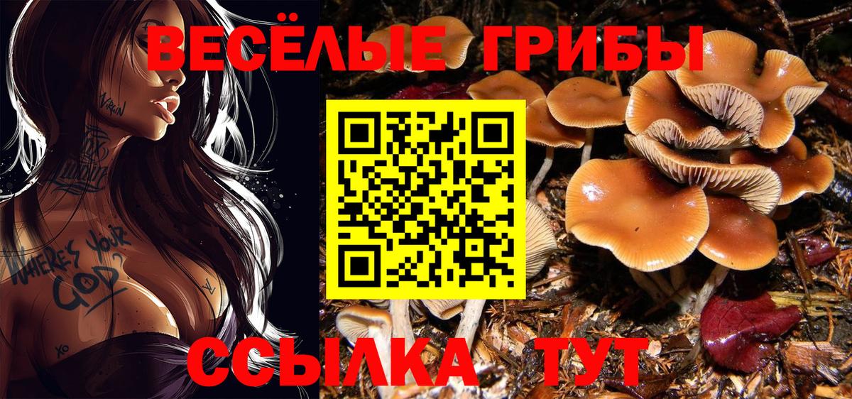 Галлюциногенные грибы Cubensis Елец