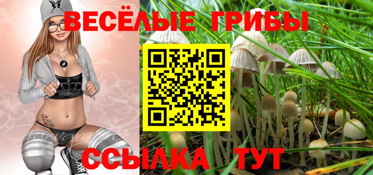 Галлюциногенные грибы прущие грибы  Псилоцибиновые грибы Psilocybine cubensis  Елец  Вход с VPN 